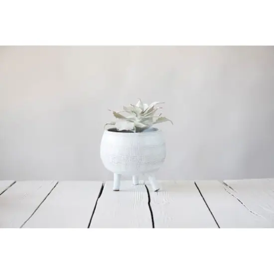 Hello Honey&reg; 7" Footed Terra Cotta Planter {3}