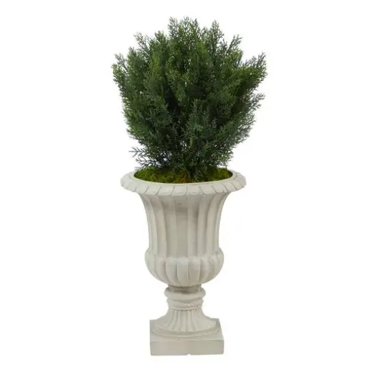 3ft. Cedar Tree in Sand Finished Urn {1}