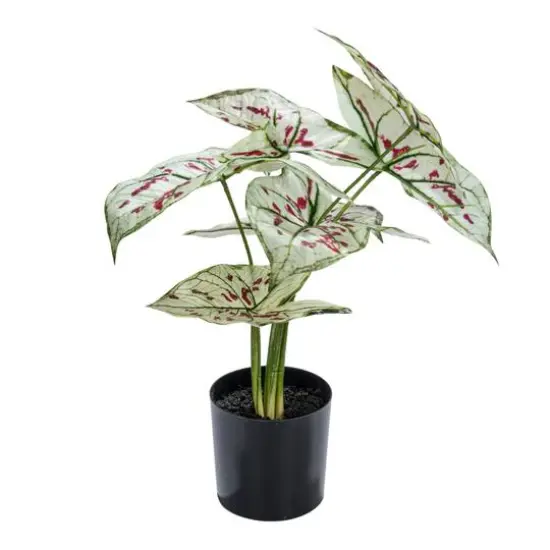 Hello Honey® 15" Green & Red Faux Elephant Ear Plant in Plastic Pot {1}