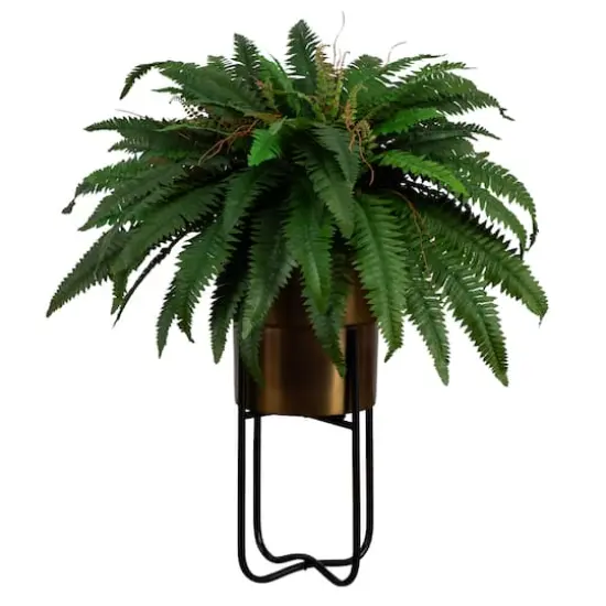 3ft. Boston Fern in Brass Metal Planter with Stand {1}