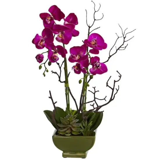 21" Orchid & Succulent Floral Arrangement in Ceramic Pot {1}