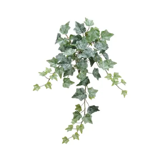 Green Frost One-Piece Ivy Bush {1}