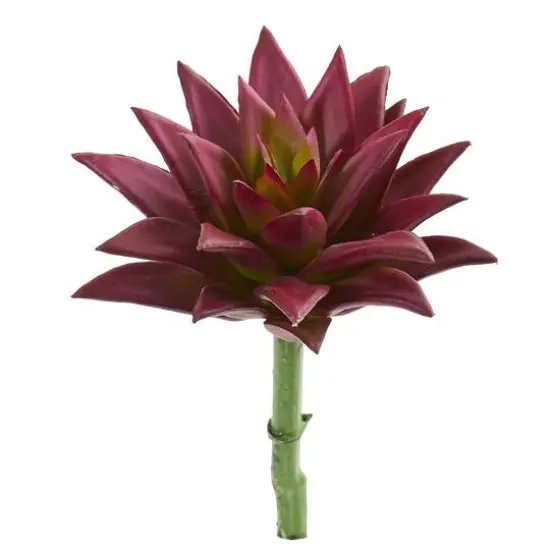 Burgundy Agave Succulent Pick, 12ct. {1}
