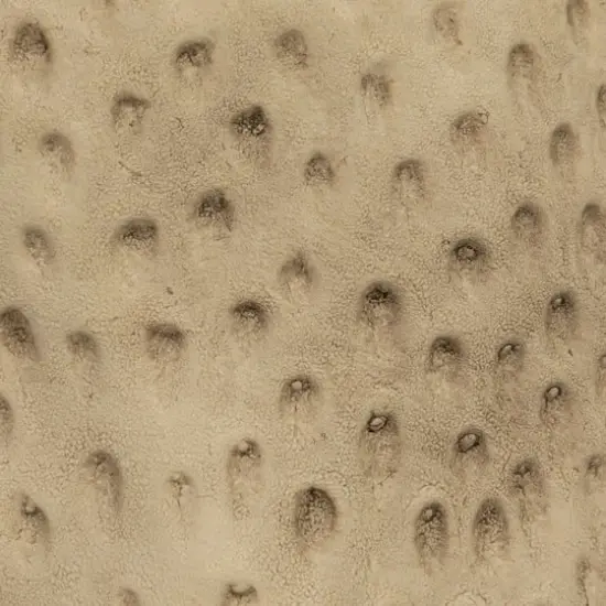 Hello Honey&reg; 6" Matte Khaki Round Debossed Stoneware Planter {3}