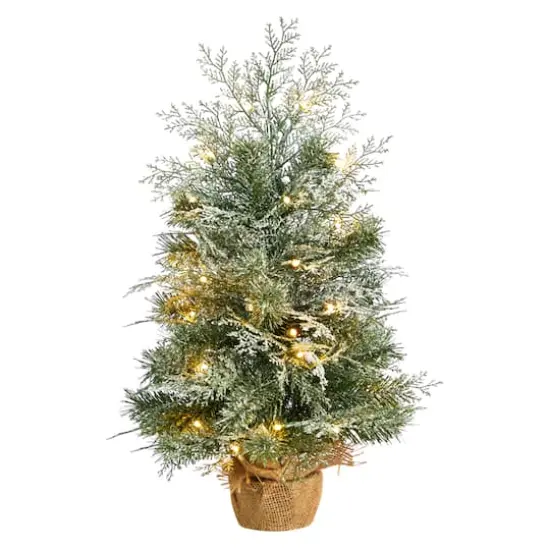 2ft. Pre-Lit Winter Frosted Artificial Christmas Tree in Burlap Base, Warm White LED Lights {1}