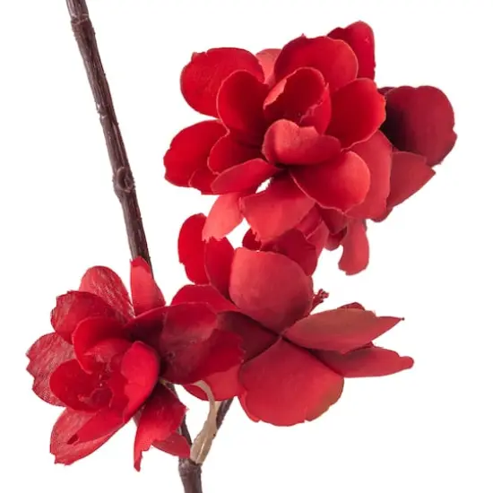 Red Apple Blossom Branch Stem by Ashland&reg; {4}