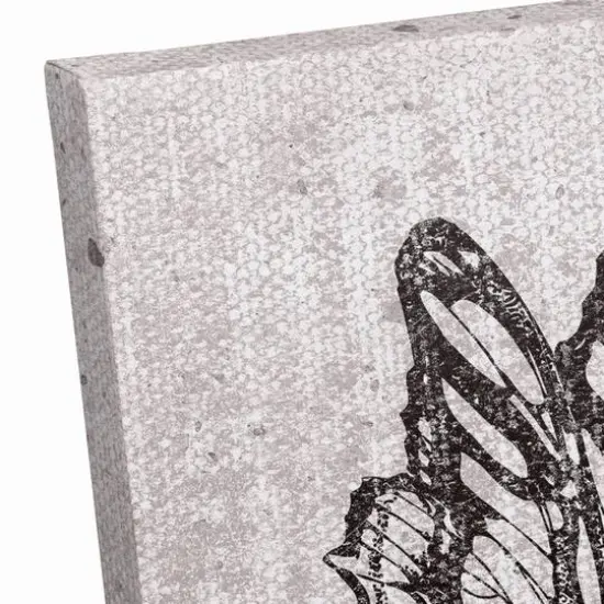 Grayscale Butterflies 24" x 24" Canvas Wall Art {6}