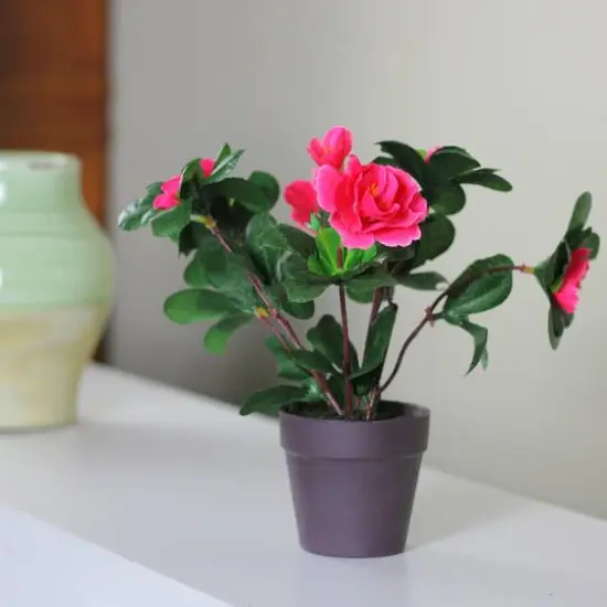 7.5" Pink Potted Artificial Spring Rose Plant {3}