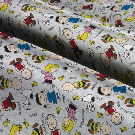 Peanuts Gang With Names Fabric {4}