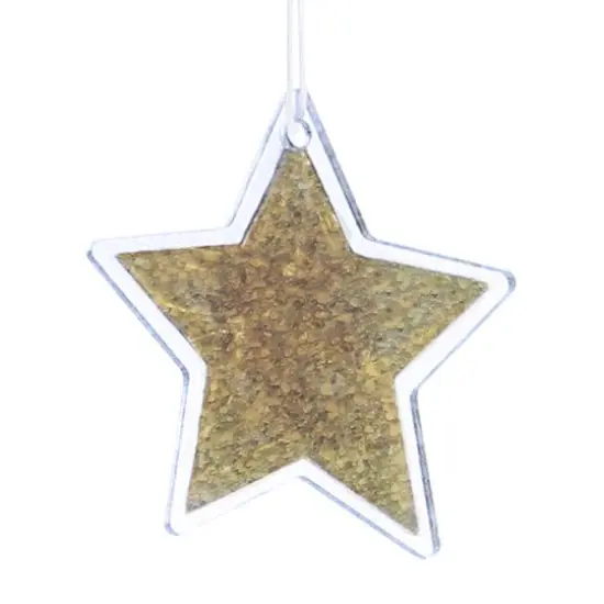 Essentials by Leisure Arts 3" Star Clear Acrylic Ornaments, 10ct. {5}