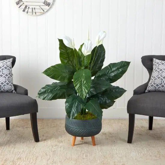 4ft. Peace Lily Plant in Black Planter with Stand {4}