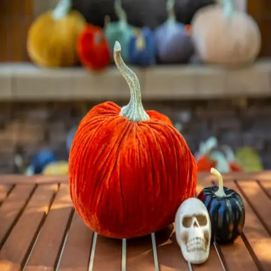Flora Bunda&reg; 8" Velvet Decorative Pumpkin Orange {3}