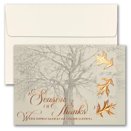 JAM Paper Blank Copper Thanksgiving Thank You Cards & Envelopes Set, 25ct.  {1}