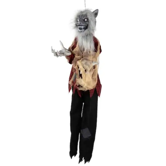 4ft. Animated Hanging Werewolf Halloween Decoration {4}