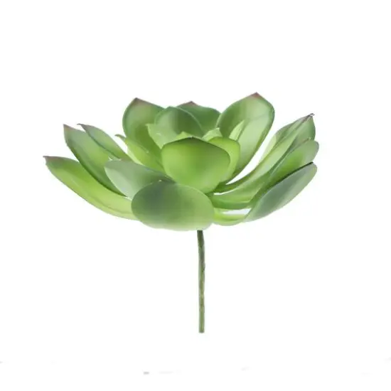 Flora Bunda&reg; Large Little Gem Succulent Pick, 6ct. {1}