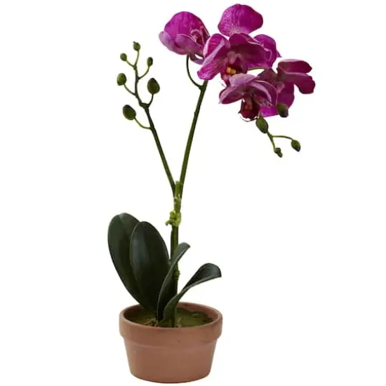13" Orchid with Clay Vase, 4ct. {5}