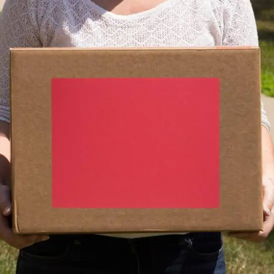 JAM Paper Shipping Labels, 8.5" x 11" Red {7}