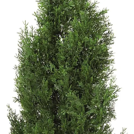 4ft. Potted Cedar Pine Tree {3}