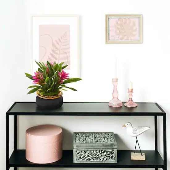 11" Bromeliad Plant in Stoneware Planter {4}