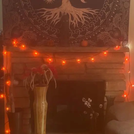 35ct. Orange Chili Pepper Patio String Light Set {5}