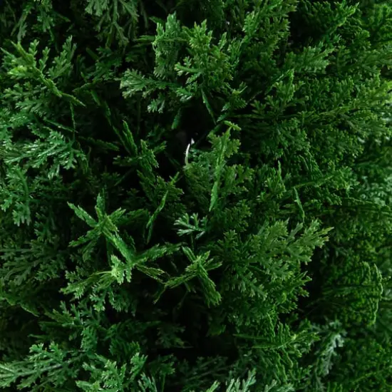 4ft. UV Resistant Artificial Cedar Plant with Integrated Ground Stake (Indoor/Outdoor) - Set of 2 {4}