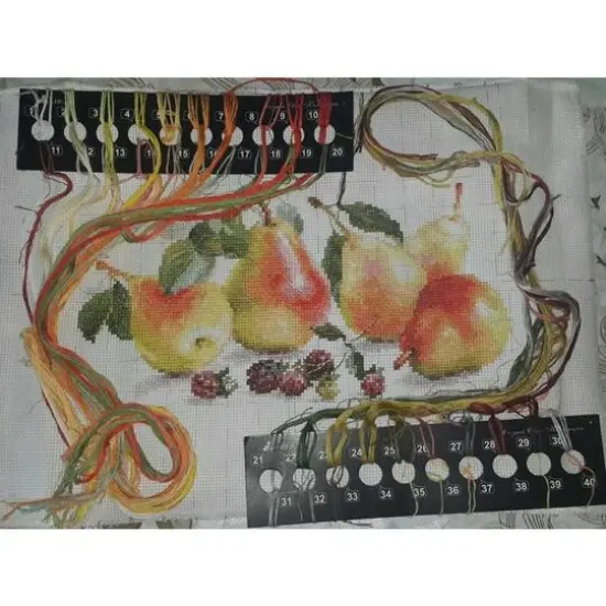 Alisa Pears Cross Stitch Kit {4}