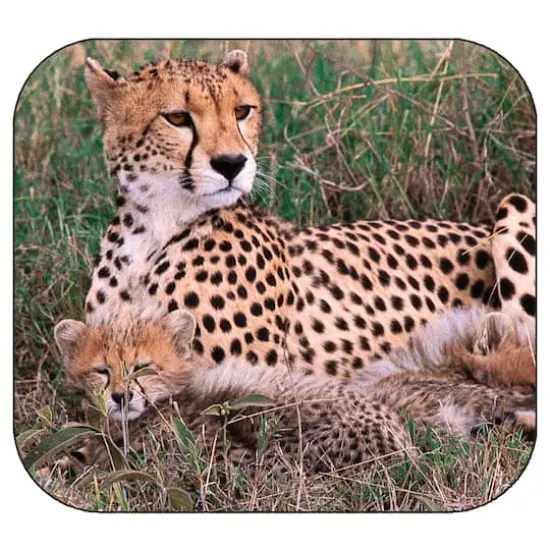 Schylling View-Master&reg; Discovery Kids&trade; Boxed Set {5}