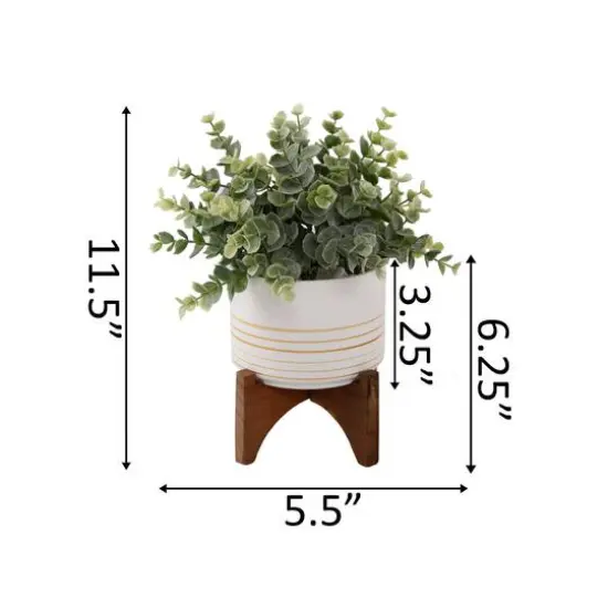 Flora Bunda&reg; 4.75" Eucalyptus In Ceramic Pot On Wood Stand {3}