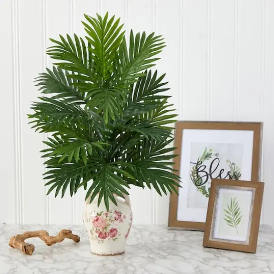 2ft. Areca Palm Plant in Floral Jar {4}