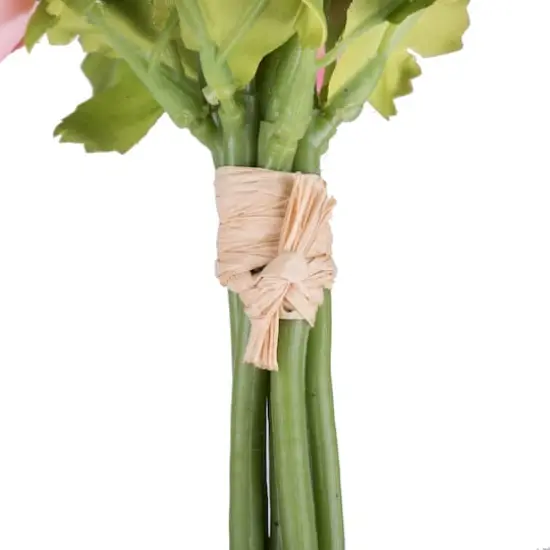 Mini Pink Ranunculus Bundle, 3ct. {4}