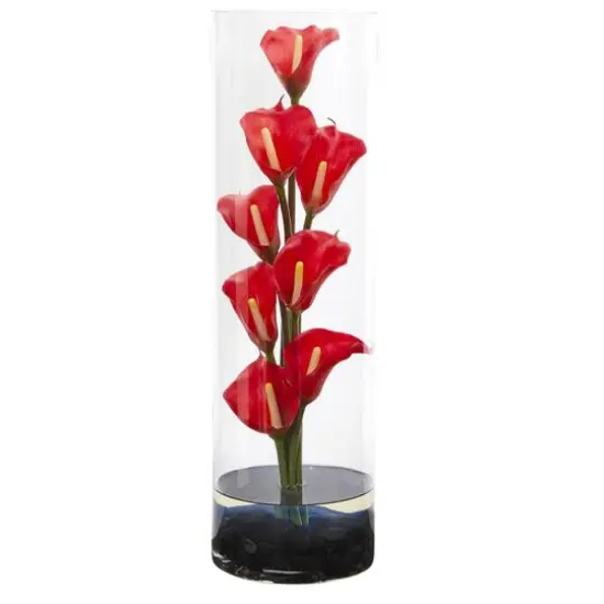 20" Calla Lily Arrangement in Cylinder Glass Vase Red {2}
