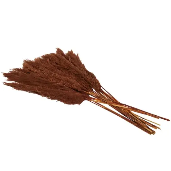 Dried Plant Pampas Natural Foliage with Long Stems Copper {4}