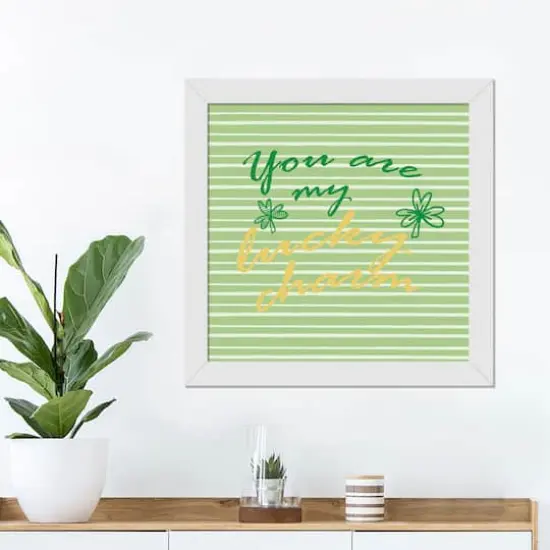 Lucky Charm 16" x 16" White Framed Print Under Plexiglass {3}