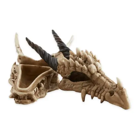 12" Snarling Dragon Skull Treasure Trove Box {4}