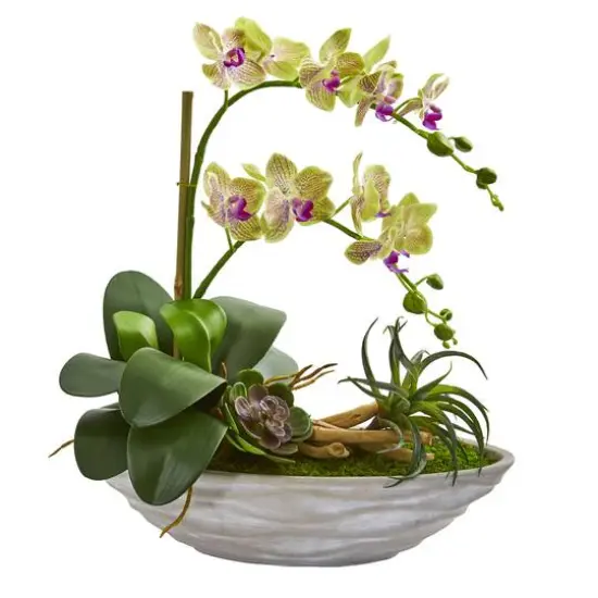 Phalaenopsis Orchid and Succulent Artificial Arrangement in White Vase {1}