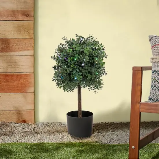 2ft. Boxwood Single Ball Topiary With Multi-Function LED Lights {3}