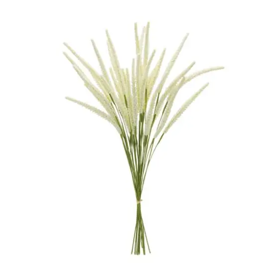 22" Foxtail Bundles, 6ct. {1}