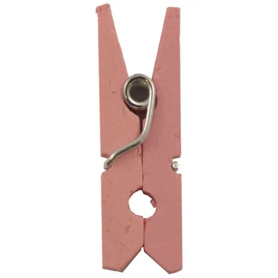 JAM Paper 7/8" Wood Clothespins, 100ct. Pink {6}