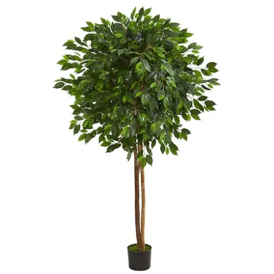 6.5ft. Potted Ficus Artificial Tree {1}