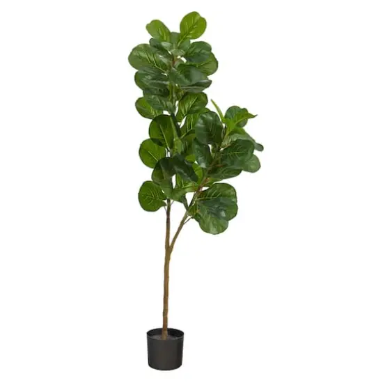 5.5ft. Potted Fiddle Leaf Fig Tree {1}
