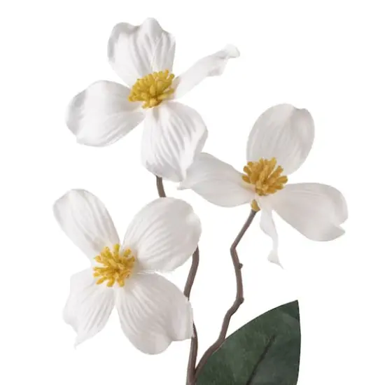 White Mini Dogwood Stem by Ashland&reg; {4}