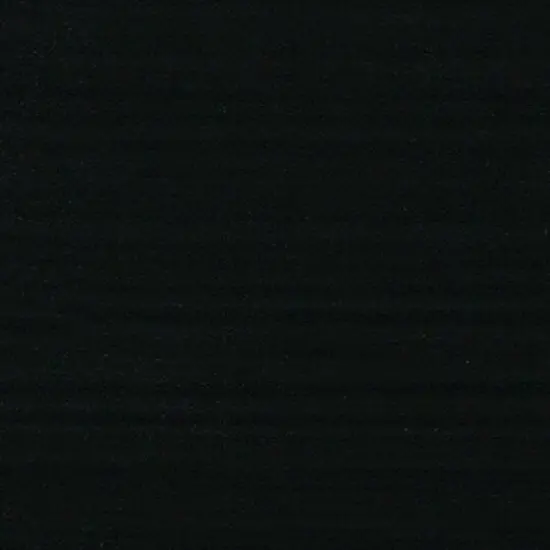 Golden&reg; SoFlat Matte Acrylic Paint, 16oz. Black {4}