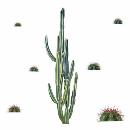 RoomMates Cactus Giant Peel & Stick Wall Decals {1}