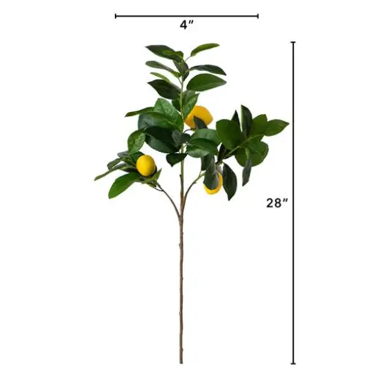 28" Lemon Branch Stems, 3ct. {6}