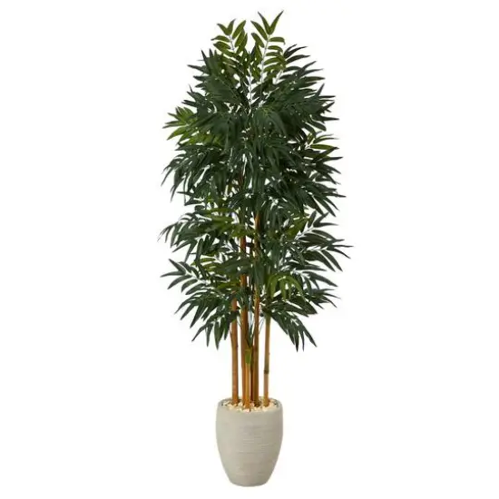 6ft. Phoenix Palm Tree in White Planter with Stand {1}