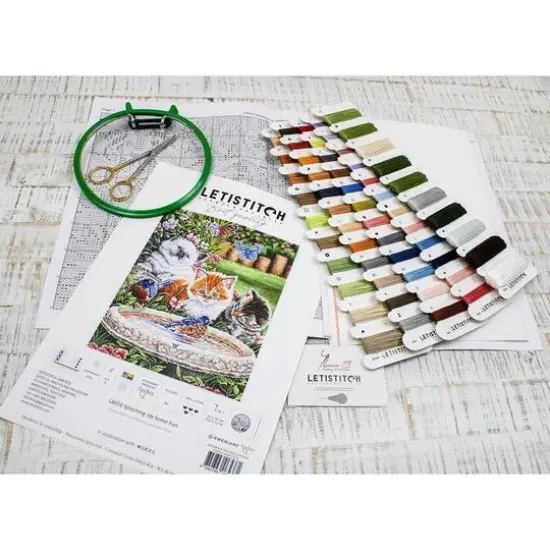 Letistitch Splashing Up Some Fun Counted Cross Stitch Kit {13}