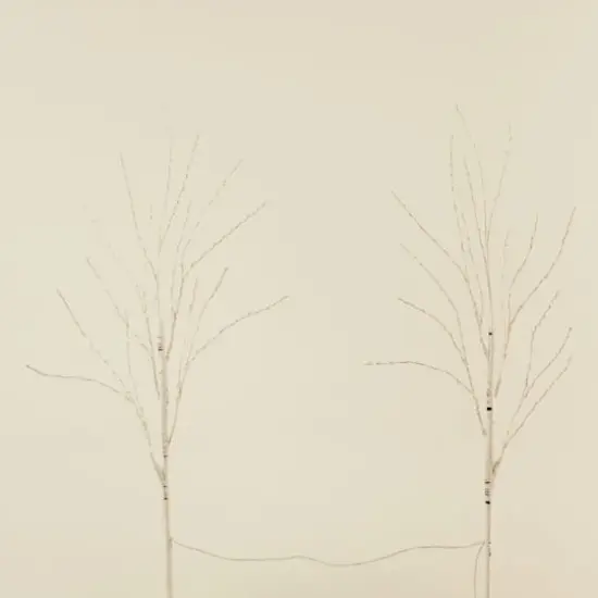 2 Pack 2.5ft. Pre-Lit White Birch Artificial Christmas Branches, Warm White Micro LED Lights {8}