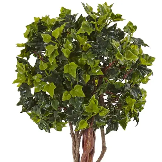 2.5ft. English Ivy Tree in Metal Planter {3}