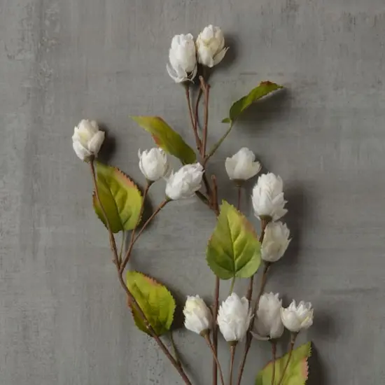 Cream Hops Spray by Ashland&reg; {5}