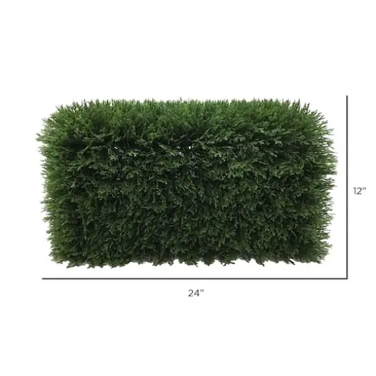 2ft. Green Cedar Hedge {3}